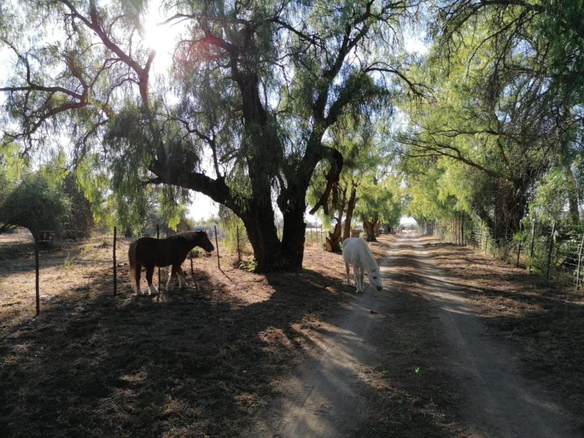Doornfontein Guest Farm Hotel Cradock Bagian luar foto